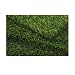 PETaPOTTY Original Synthetic Grass