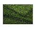 PETaPOTTY Original Synthetic Grass