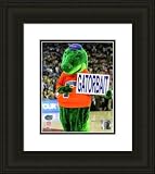 Framed Albert E Gator Florida Gators Photo - Black Double Mat
