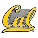 California Cal Berkley Metal Trailer Hitch Cover Plug Image