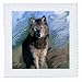 3dRose LLC qs_3938_1 Wolf Quilt Square, 10 by 10-Inch
