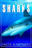 Shark Facts and Cool Pictures. Animal Photo Books for Kids.