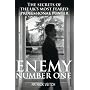 Enemy Number One: The Secrets of the UK's Most Feared Professional Punter
