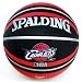 (���ݥ�ǥ���)SPALDING NBA ���꡼�֥��ɡ�����Хꥢ���� NBA TEAM RUBBER �ܡ��� 2010 (Mini Basket)