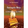 Serapis Bey: Lichtarbeit an der Basis