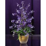Shopzeus USA zeusd1-CALA-4269892 Dancing Lady Silk Orchid Arrangement
