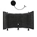 AxcessAbles SF-101 Desktop Recording Studio Microphone Isolation Shield with Pop Filter