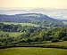 England Gloucestershire the Forest of Dean as Seen - 36"W x 30"H - Peel and Stick Wall Decal by Wallmonkeys