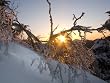 Sunset Between Branches in New York's Adirondack Mountains - Unusual 16x20 Photographic Print by Brendan Reals