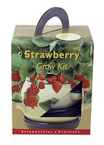 Strawberry Grow Kit - Porcelain Pot with Strawberry Seeds