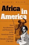 Africa in America: Slave Acculturation and Resistance in the American South and the British Caribbean, 1736-1831 (Blacks in the New World)