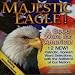 Majestic Eagle, A Good Word for America Saluting America's Heroes