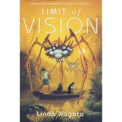 Limit of Vision