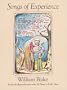 Songs of Experience: Facsimile Reproduction with 26 Plates in Full Color (Dover Fine Art, History of Art)