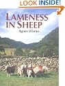 Lameness in