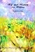 Wit and Wisdom for Widows: Beginning Anew
