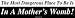 The Most Dangerous Place To Be Is In A Mother's Womb! Large Bumper Sticker