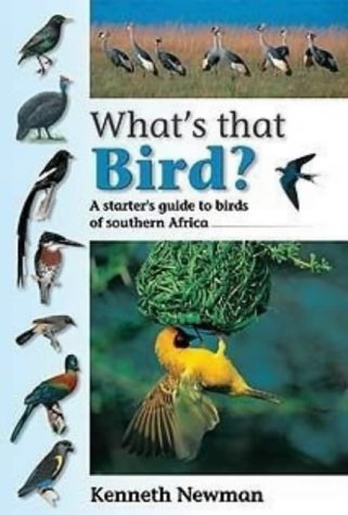What's That Bird?