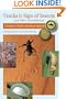 Tracks and Sign of Insects and Other Invertebrates: A Guide to North American Species