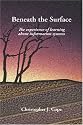 Beneath the Surface: The experience of learning about information systems