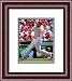 Framed Raul Ibanez Philadelphia Phillies 8x10 Photo