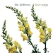 Love Songs