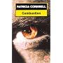 Combustion