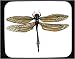 Decorated Mouse Pad with insect, dragonfly, yellow, red, wings