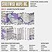 Streetwise Vancouver: City Center Street Map of Vancouver, Canada
