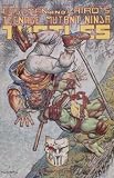 Teenage Mutant Ninja Turtles (1985) #49