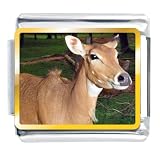 Deer In The Trees Animal Photo Sports Italian Charms Bracelet Link