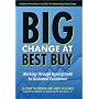 Big Change at Best Buy: Working Through Hypergrowth to Sustained Excellence