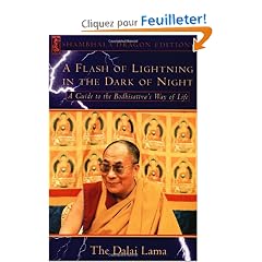 A Flash of Lightning in the Dark of Night: A Guide to the Bodhisattva's Way of Life