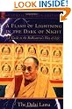 A Flash Lightning in the Dark of Night: Guide to the Bodhisattva's Way of Life (Shambhala Dragon Editions)