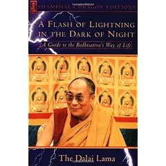 A Flash of Lightning in the Dark of Night: A Guide to the Bodhisattva's Way of Life