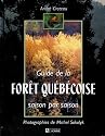 Guide de la for&ecirc;t qu&eacute;b&eacute;coise saison par saison