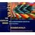 Var�se: The Complete Works