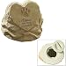Grasslands Road Beloved "Always in Our Hearts" Paw Print Pet Remembrance Stone Urn
