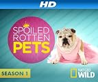 Spoiled Rotten Pets [HD]: Ferrets & Tiaras [HD]
