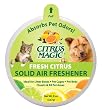 Citrus Magic Odor Absorbing Solid Air Freshener Citrus 8 Ounces