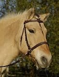 jw reitsport Gebisslose Trense braun