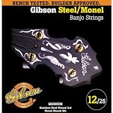 Gibson SBG-571M Banjo Strings