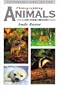 Photographing Animals in the Wild (Photographic Hints & Tips)