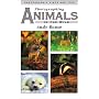 Photographing Animals in the Wild (Photographic hi&hellip by Andy Rouse