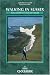 Walking in Sussex: 40 Selected Walks (Cicerone British Walking)