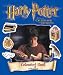 Harry Potter and the Chamber of Secrets: Colouring Activity Book (Harry Potter)