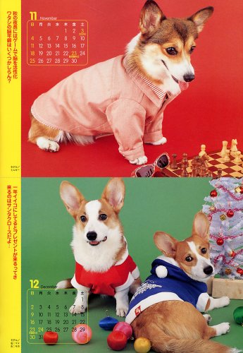 Cover image : コーギースタイル Vol.16 (タツミムック)
