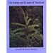 The palms and cycads of Thailand
