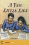 Few Little Lies (Hodder African Readers)