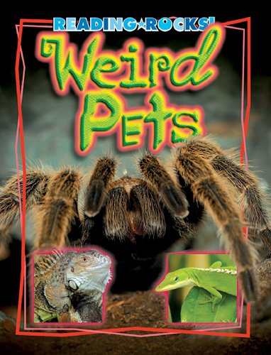 Weird Pets (Reading Rocks!)